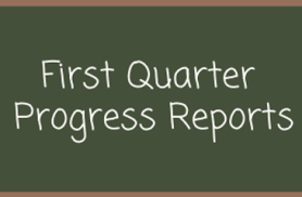 Q1 Progress Reports 